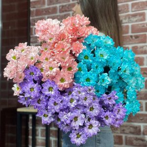 <Кустовая крашеная хризантема