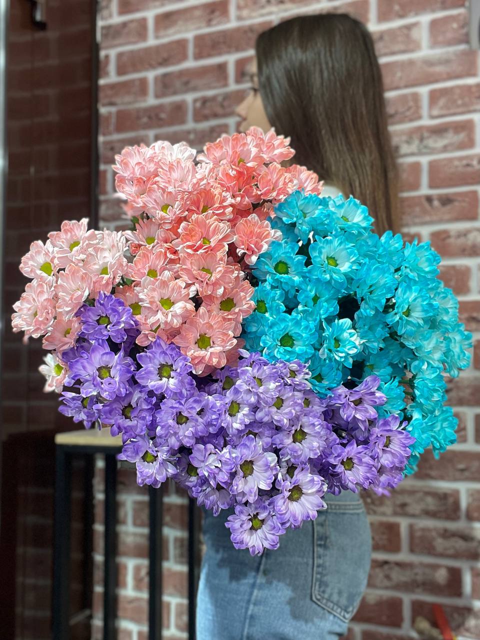 Кустовая крашеная хризантема